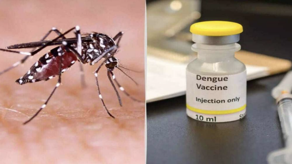 1st Time Ever, Phase 3 Clinical Trials Of Dengue Vaccine Starts: 100% Made In India Vaccine!